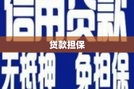 秦汉贷款担保