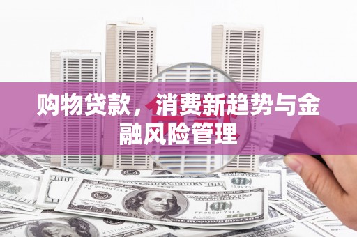 秦汉购物贷款，消费新趋势与金融风险管理