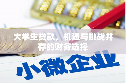 秦汉大学生贷款，机遇与挑战并存的财务选择