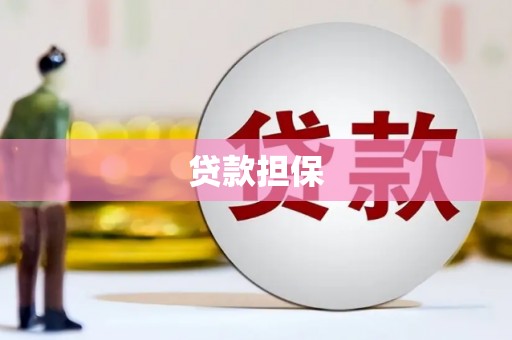 秦汉贷款担保