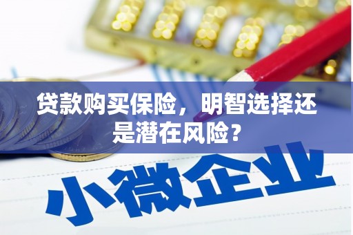 秦汉贷款购买保险，明智选择还是潜在风险？