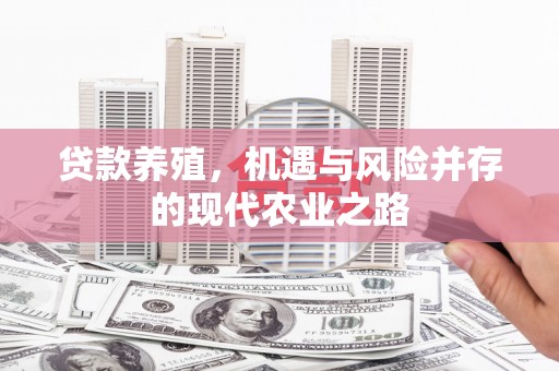 秦汉贷款养殖，机遇与风险并存的现代农业之路