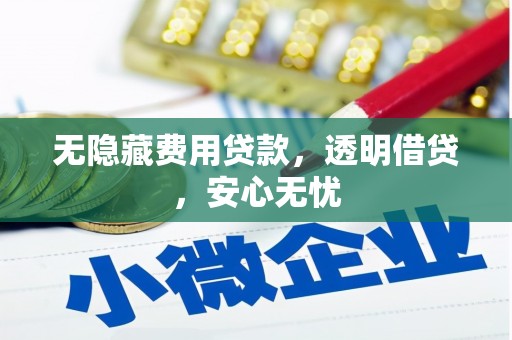 秦汉无隐藏费用贷款，透明借贷，安心无忧