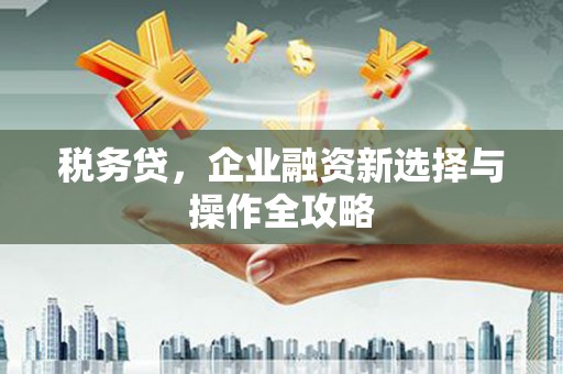 秦汉税务贷，企业融资新选择与操作全攻略
