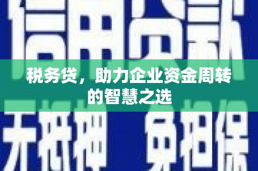 秦汉税务贷，助力企业资金周转的智慧之选