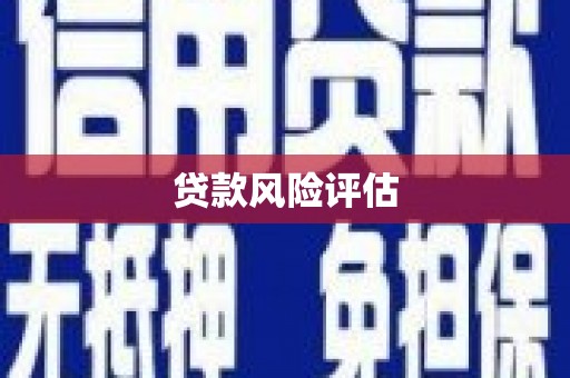 秦汉贷款风险评估