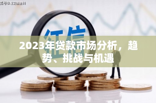 秦汉2023年贷款市场分析，趋势、挑战与机遇