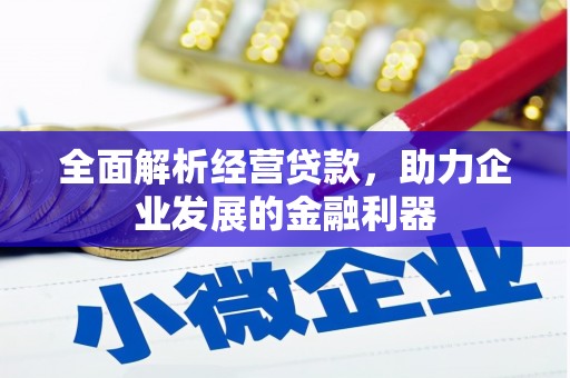 秦汉全面解析经营贷款，助力企业发展的金融利器