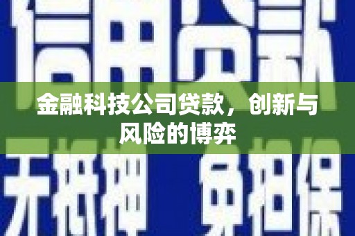 秦汉金融科技公司贷款，创新与风险的博弈