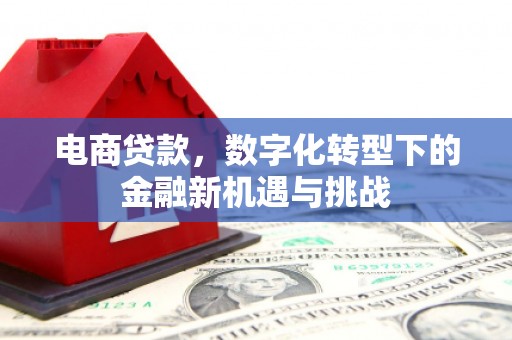 秦汉电商贷款，数字化转型下的金融新机遇与挑战