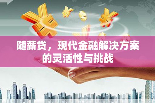 秦汉随薪贷，现代金融解决方案的灵活性与挑战