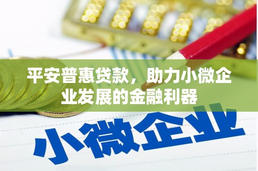 秦汉平安普惠贷款，助力小微企业发展的金融利器