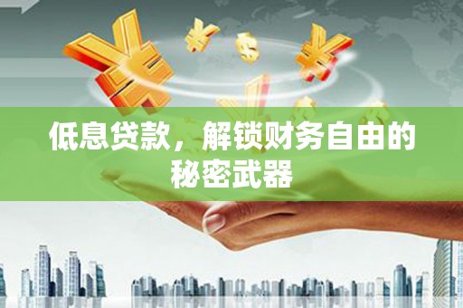 秦汉低息贷款，解锁财务自由的秘密武器
