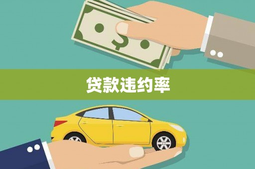 秦汉贷款违约率
