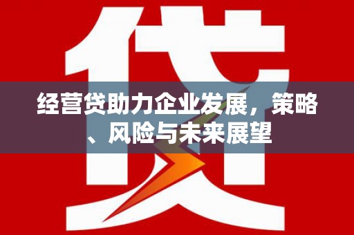 秦汉经营贷助力企业发展，策略、风险与未来展望