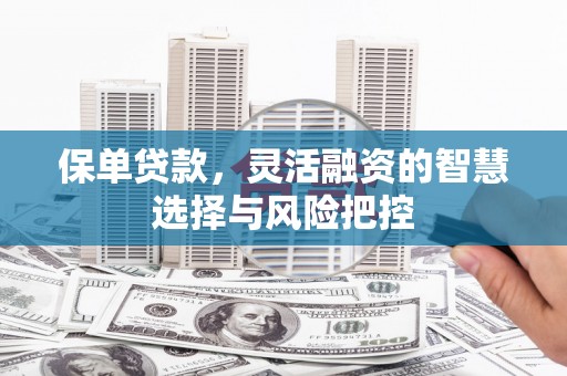 秦汉保单贷款，灵活融资的智慧选择与风险把控