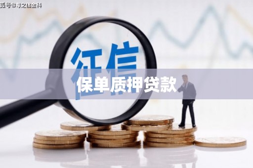 秦汉保单质押贷款
