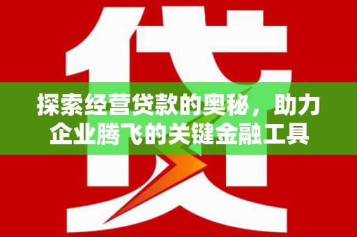 秦汉探索经营贷款的奥秘，助力企业腾飞的关键金融工具
