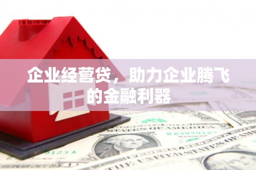 秦汉企业经营贷，助力企业腾飞的金融利器