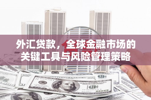 秦汉外汇贷款，全球金融市场的关键工具与风险管理策略
