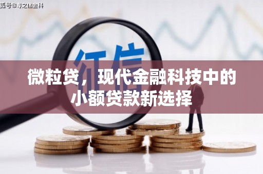 秦汉微粒贷，现代金融科技中的小额贷款新选择