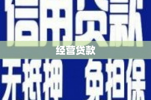秦汉经营贷款