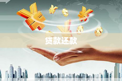 秦汉贷款还款