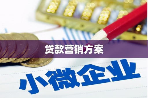 秦汉贷款营销方案