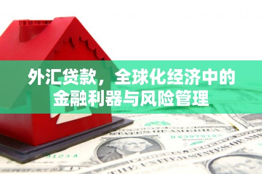 秦汉外汇贷款，全球化经济中的金融利器与风险管理