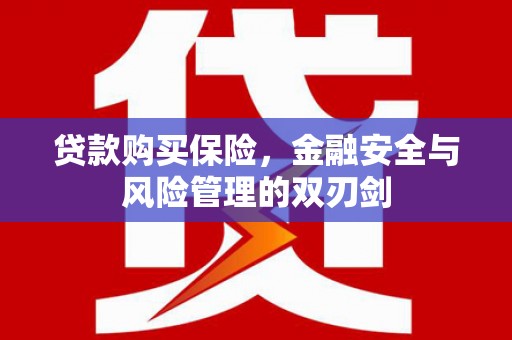 秦汉贷款购买保险，金融安全与风险管理的双刃剑