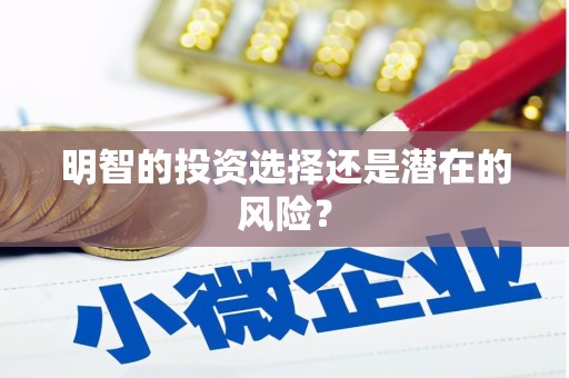 秦汉明智的投资选择还是潜在的风险？