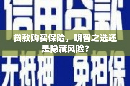 秦汉贷款购买保险，明智之选还是隐藏风险？