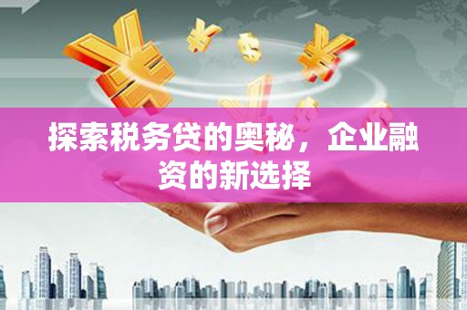秦汉探索税务贷的奥秘，企业融资的新选择