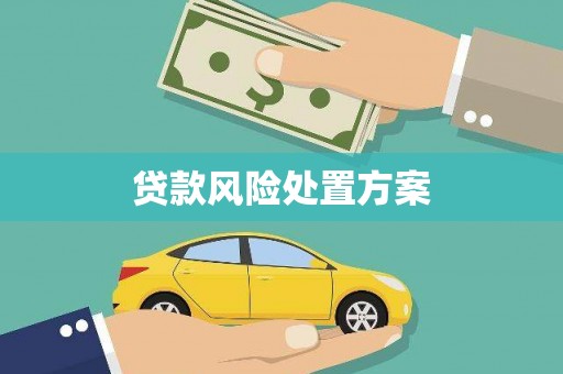 秦汉贷款风险处置方案