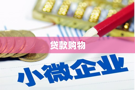 秦汉贷款购物