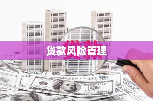 秦汉贷款风险管理