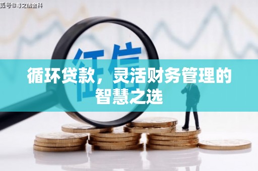秦汉循环贷款，灵活财务管理的智慧之选