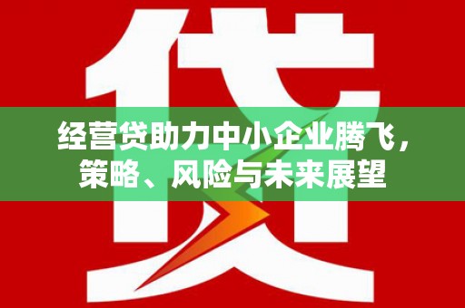 秦汉经营贷助力中小企业腾飞，策略、风险与未来展望