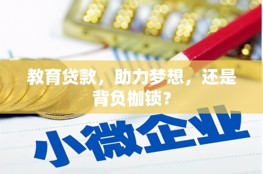 秦汉教育贷款，助力梦想，还是背负枷锁？