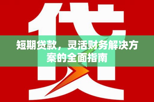 秦汉短期贷款，灵活财务解决方案的全面指南