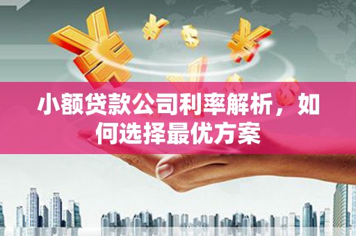 秦汉小额贷款公司利率解析，如何选择最优方案