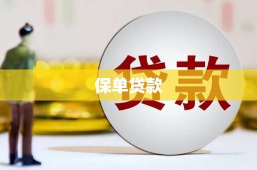 秦汉保单贷款