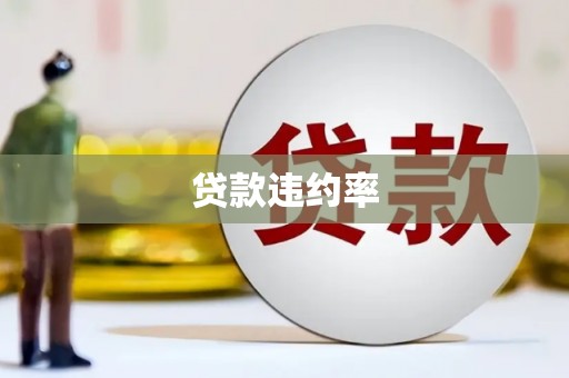 秦汉贷款违约率