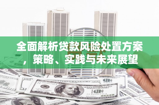 秦汉全面解析贷款风险处置方案，策略、实践与未来展望