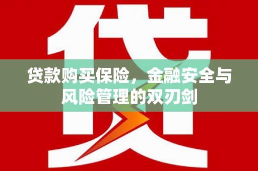 秦汉贷款购买保险，金融安全与风险管理的双刃剑