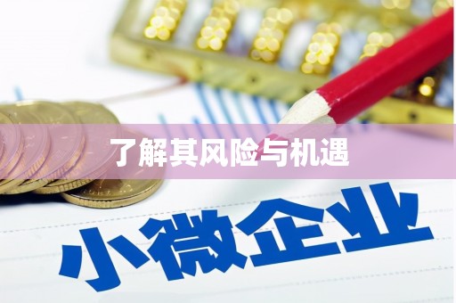 秦汉了解其风险与机遇