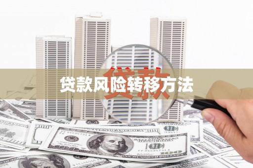 秦汉贷款风险转移方法