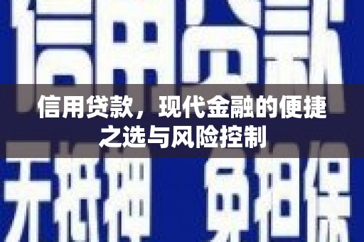 秦汉信用贷款，现代金融的便捷之选与风险控制