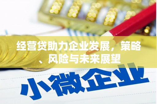 秦汉经营贷助力企业发展，策略、风险与未来展望