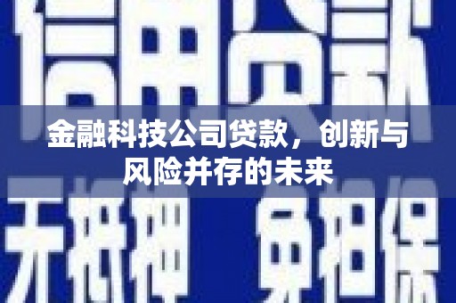 秦汉金融科技公司贷款，创新与风险并存的未来